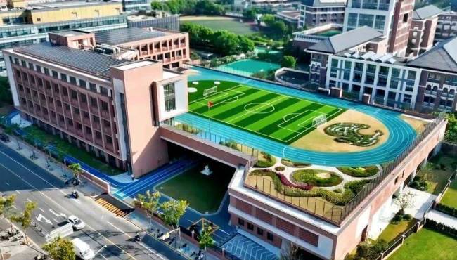 吴敏霞任上海一小学副校长 体育冠军的新角色