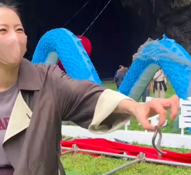 高圆圆徒手抓蚯蚓 全程神态淡定从容